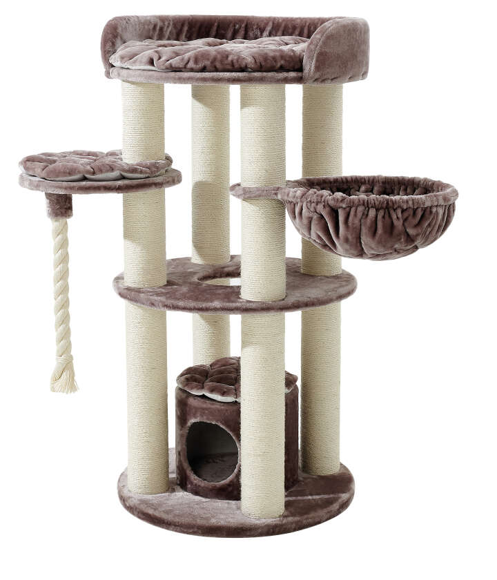 Nobby Kratzbaum Arda